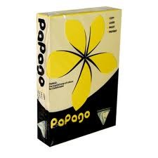 PBOY100